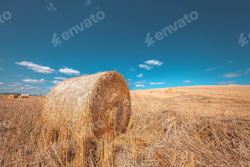 Preview: Wheat Field After Harvest With Straw Bales At Sunset