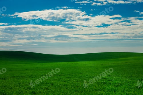 Preview: Green Field And Beautiful Sunset