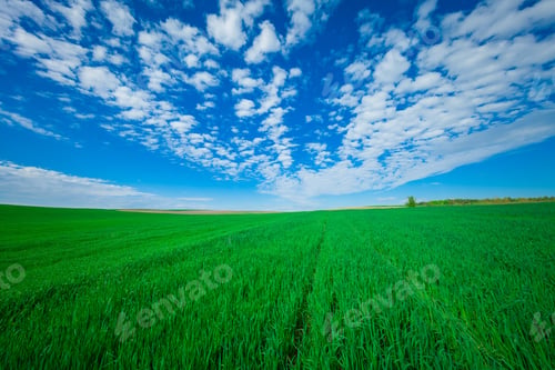 Preview: Green Field And Beautiful Sunset