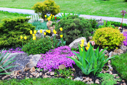 Preview: Beautiful Grounds With Plants And Landscape Design. Landscaped Area With Green Spaces, Plants