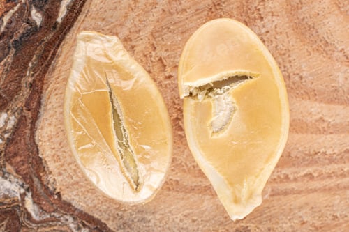 Preview: Group Of Two Whole Golden Pumpkin Seed On Wood