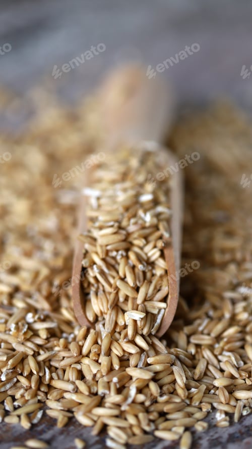 Preview: Selective Focus. Macro. Oats Oat Grains In A Wooden Spatula.