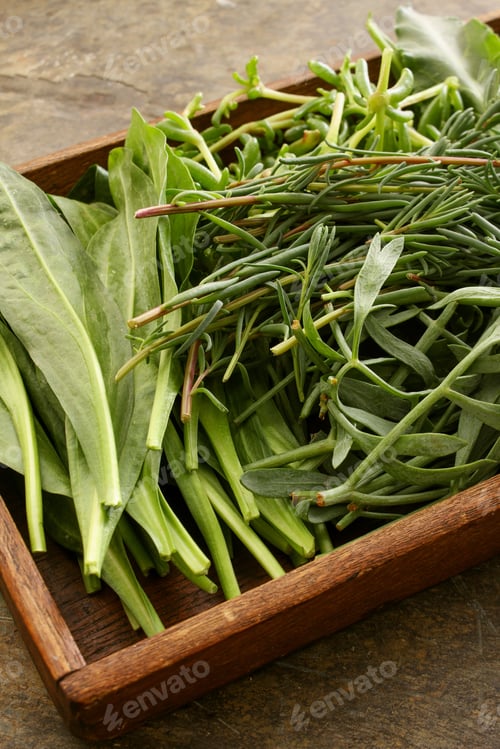 Sea Herb Selection