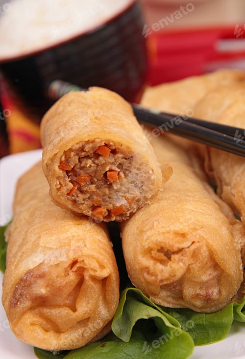 Preview: Close Up On Fried Spring Roll