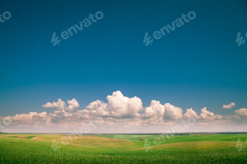 Preview: Beatiful Morning Green Field With Blue Heaven