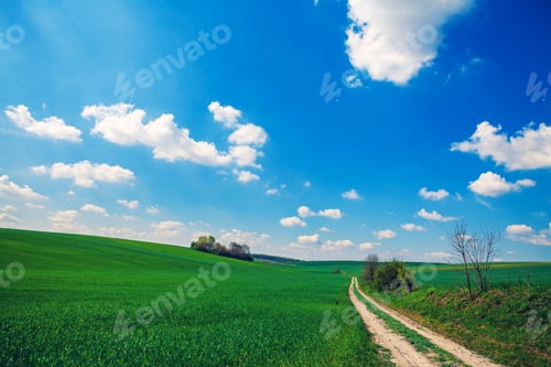 Preview: Green Field And Beautiful Sunset
