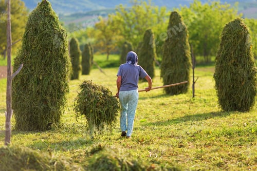 Preview: Woman Farmer Turns The Hay With A Hay Fork