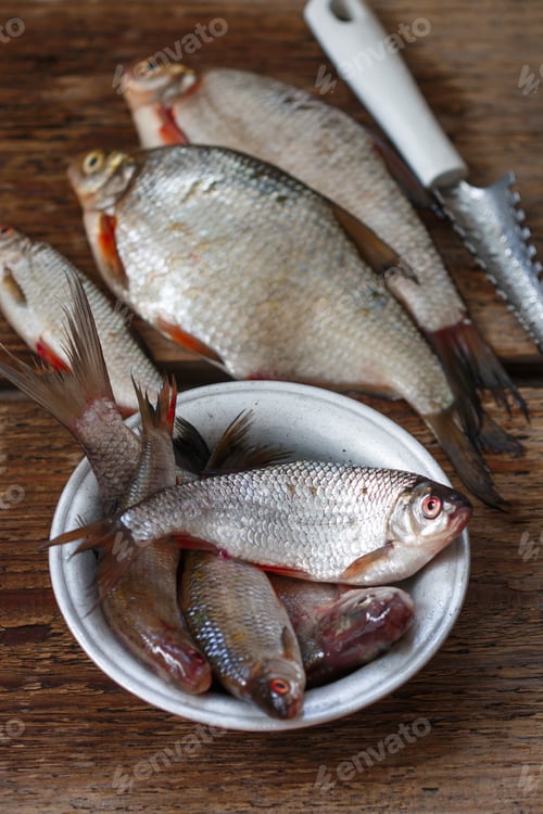 Preview: Freshly Caught River Fish. Selective Focus