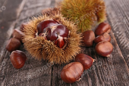 Preview: Chestnut