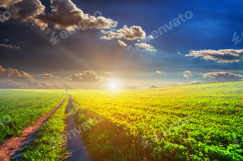 Preview: Green Field And Beautiful Sunset