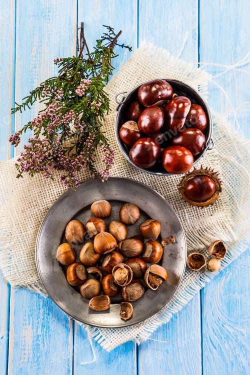 Preview: Hazelnuts And Chestnuts