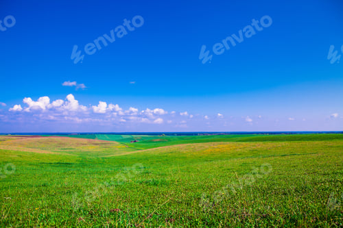 Preview: Green Grass Under Blue Sky