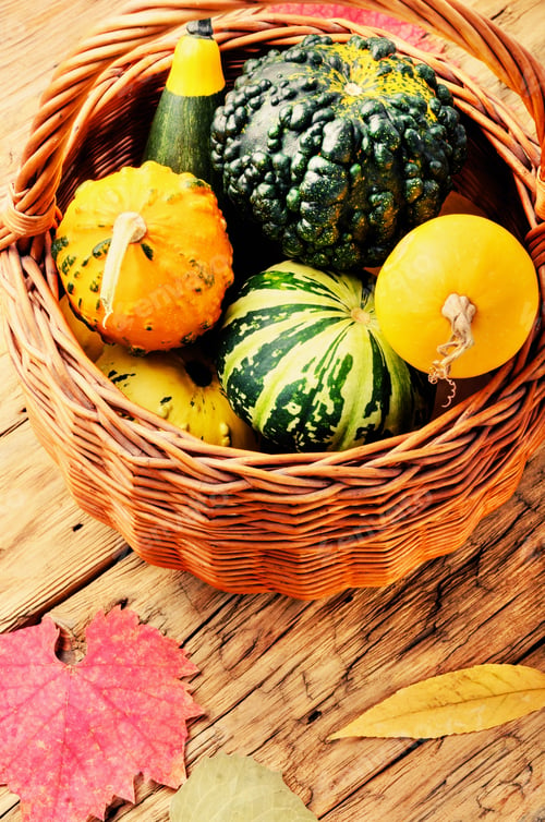 Preview: Beautiful Autumn Seasonal Background With Pumpkins In Basket.Autumn Nature Concept