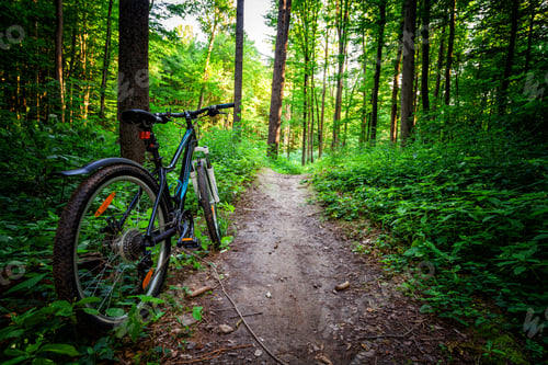 Preview: Mountain Biking Down Hill Descending Fast On Bicycle. View From Bikers Eyes.