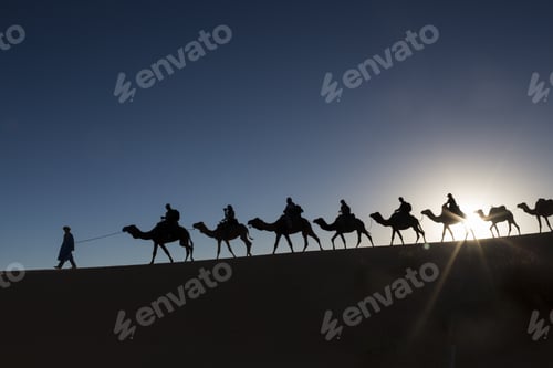 Preview: Camel Caravan Going Through The Desert
