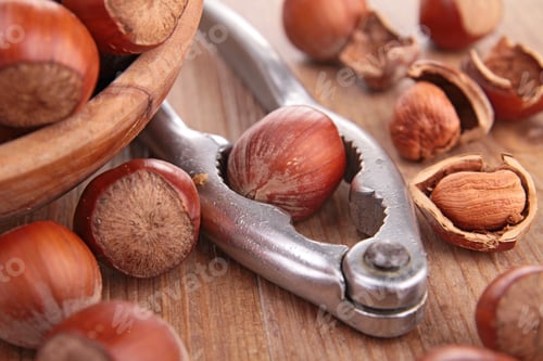 Preview: Hazelnut And Nutcracker