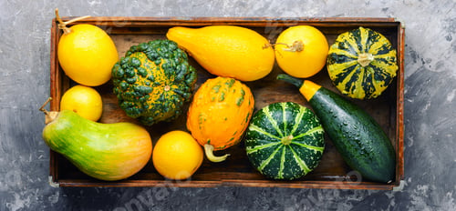 Preview: Autumn Still Life With Pumpkins On Wooden Background.Autumn Harvest.