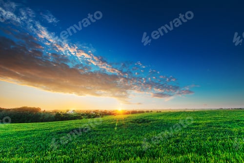 Preview: Green Field And Beautiful Sunset