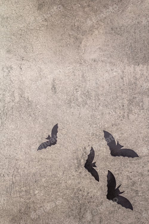Preview: Halloween Decoration Concept - Black Bats On Gray Stone Concrete Background. Wallpaper, Backdrop
