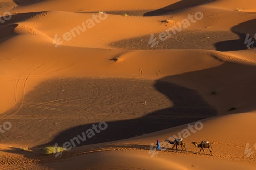 Preview: Camel Caravan Going Through The Sand Dunes In The Sahara Desert, Morocco.