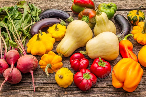 Preview: Autumn Harvest Vegetables. Set Of Beetroot, Eggplant, Pumpkin, Pepper, Zucchini, Squash. Healthy