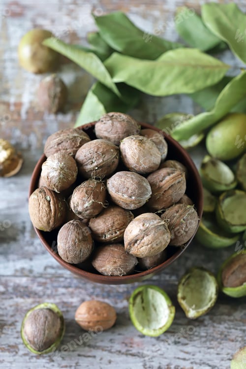 Preview: Selective Focus. Walnuts In A Bowl. Walnut Leaves Walnuts In A Green Peel. Harvest Walnuts.