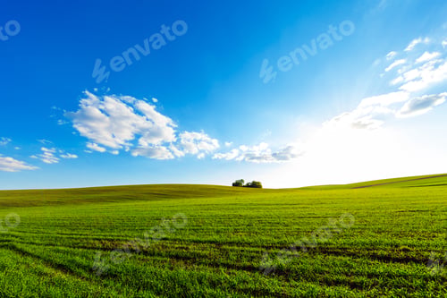 Preview: Green Field And Beautiful Sunset