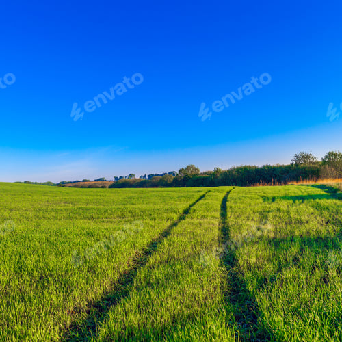 Preview: Green Field And Beautiful Sunset