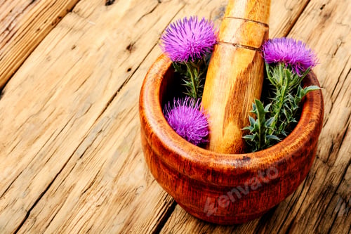 Preview: Wild Healing Herbs Thistle In Mortar.Herbal Medicine.