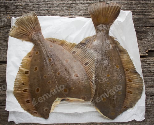 Preview: Freshly Caught Flounder On White Paper