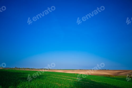 Preview: Green Field And Beautiful Sunset