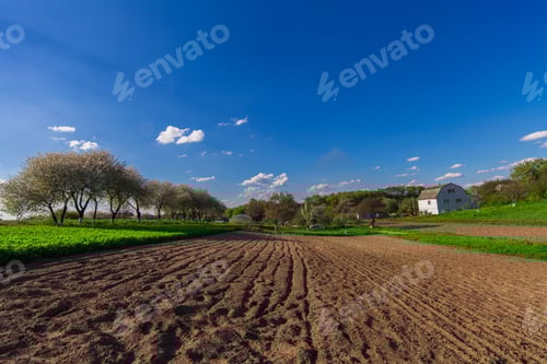 Preview: Green Field And Beautiful Sunset