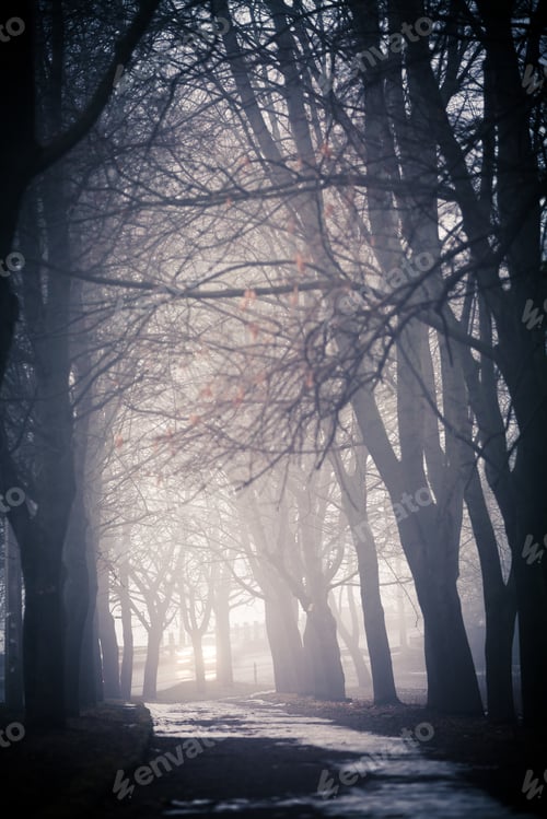 Preview: Fog On A Way