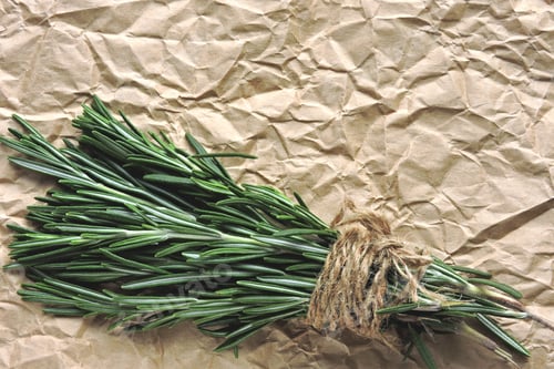 Preview: Rosemary Bunch. Top View.
