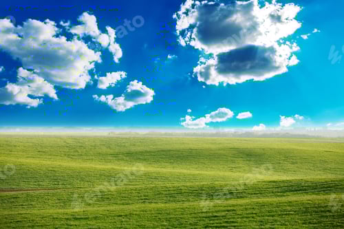 Preview: Green Field And Beautiful Sunset