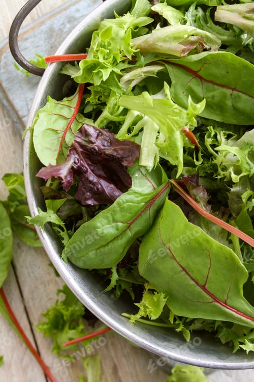 Preview: Fresh Salad Leaves