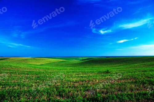 Preview: Beatiful Morning Green Field With Blue Heaven