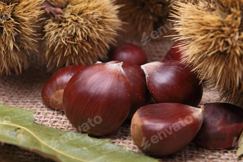 Preview: Chestnut