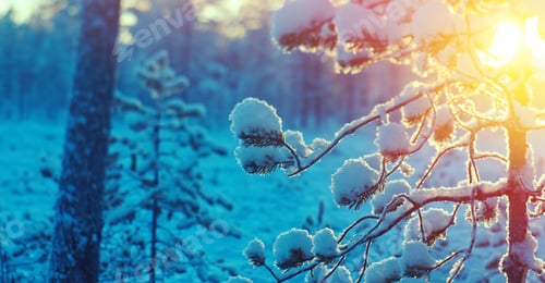 Preview: Winter Snowy Forest At Sunset. Beautiful Christmas Landscape.Shallow Depth-Of-Field.