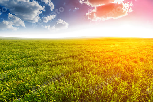 Preview: Green Field And Beautiful Sunset