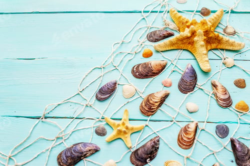 Preview: Seashells Summer Background. Lots Of Different Seashells Piled Together, Mussels, Starfish, Fishnet