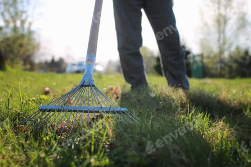 Preview: Rakes To Collect Old Grass
