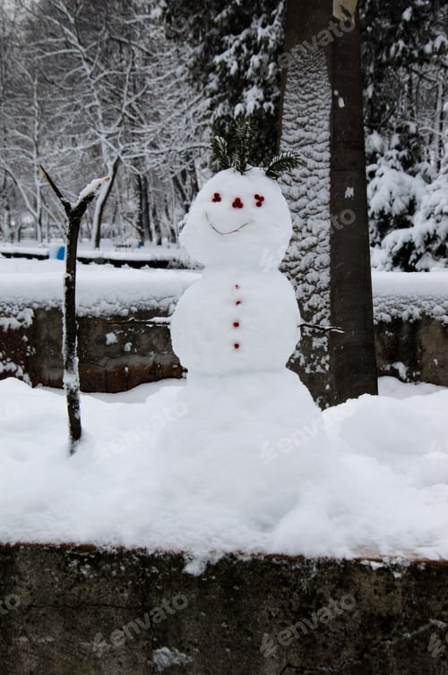Preview: Small Smiling Snowman In A City Park