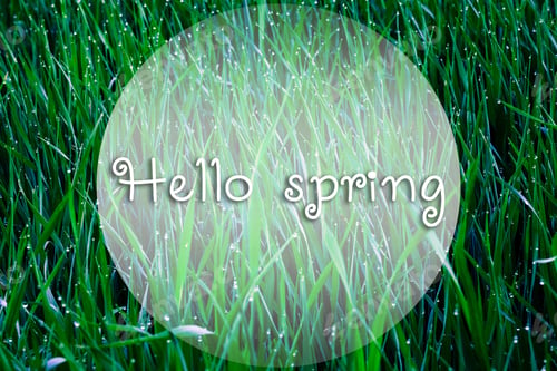 Preview: Beautiful Green Grass With Words: Hello Spring