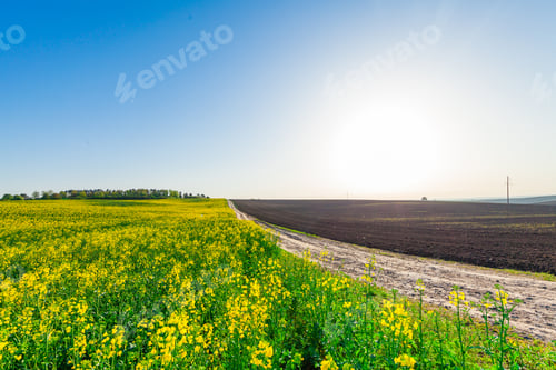 Preview: Green Field And Beautiful Sunset
