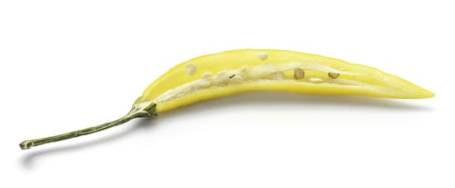 Preview: Yellow Chili Pepper, One Half, Isolated On White Background