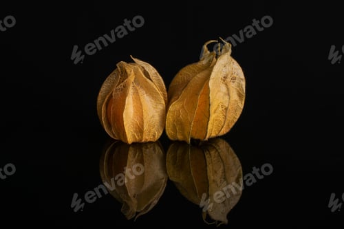 Preview: Group Of Two Whole Fresh Orange Physalis With Husk Isolated On Black Glass