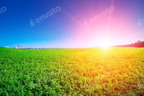 Preview: Green Field And Beautiful Sunset