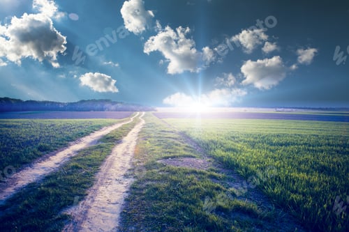 Preview: Green Field And Beautiful Sunset