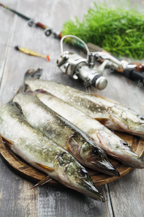 Preview: Fresh Caught Fish On A Wooden Table